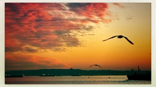 istock Sunset Over New York Harbor 1300606451