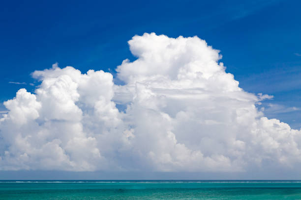 Tropical sea image