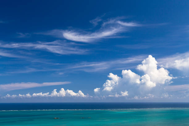 Tropical sea image