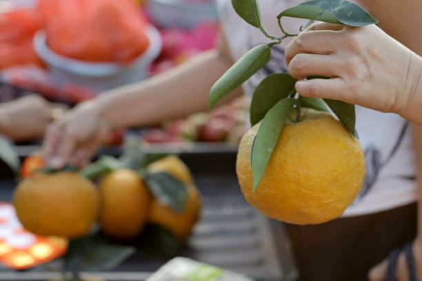 istock Chinese New Year Morning Market 1300611747