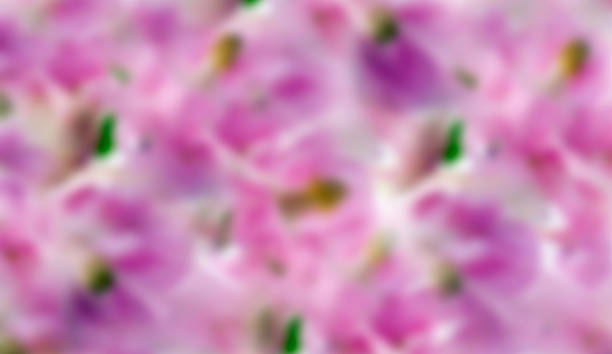 istock Blurred background of vibrant spring pinks and purples colors. 1300612760