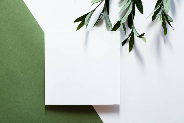 istock White sheet of paper, eucalyptus branch and long shadows. Empty postcard scene mockup. Flat lay on the green background in sunlight, top view. 1300614798