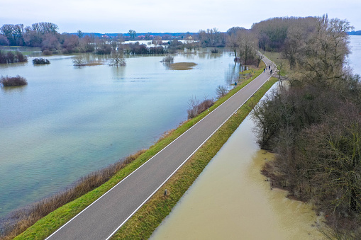 Aerial view flooded forest plains with country road , Rhine River, Rhineland Palatinate, Germany