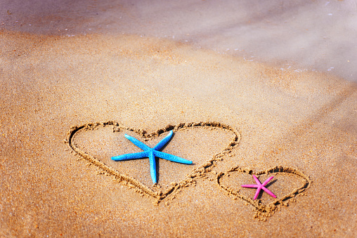 Two drawn hearts on the sand on the shore of the sea. Starfish inside. Valentine's Day