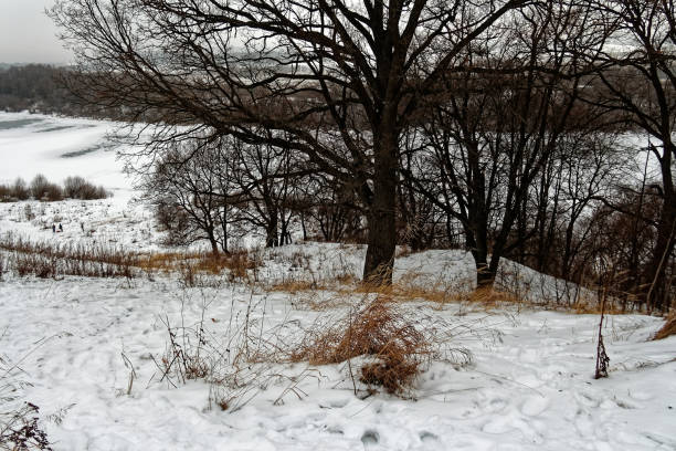istock riverbank on a cloudy winter day 1300635236