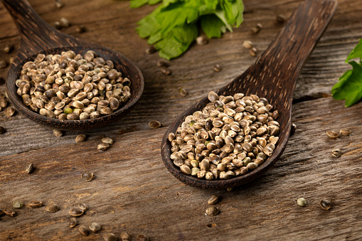 Hemp seed in wooden spoons on rustic wooden table