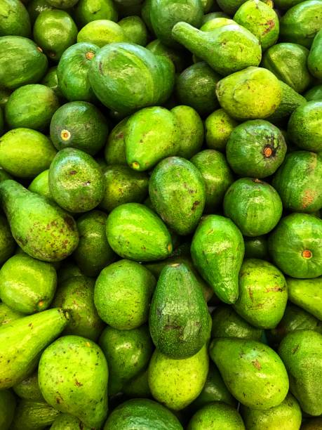 Avocado fruit