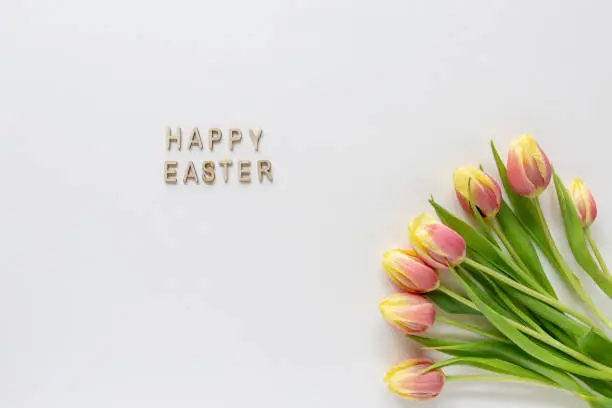 Easter greeting card template with Happy Easter text and tulips on white background, minimal composition, flat lay, view from above, copy space