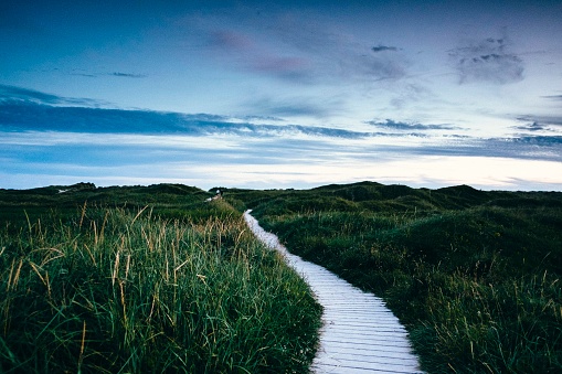 A path through a coastal landscape at dusk, at Orre beach, Norway.