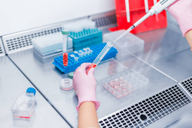 istock Specialist scientist holds beaker with red liquid and conducts PCR analysis and immunological test for antibodies ELISA in a sterile professional laboratory 1300655450