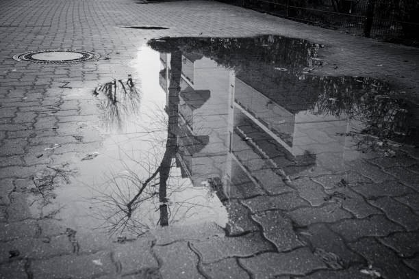 istock houses and trees that are reflected in a puddle 1300655498