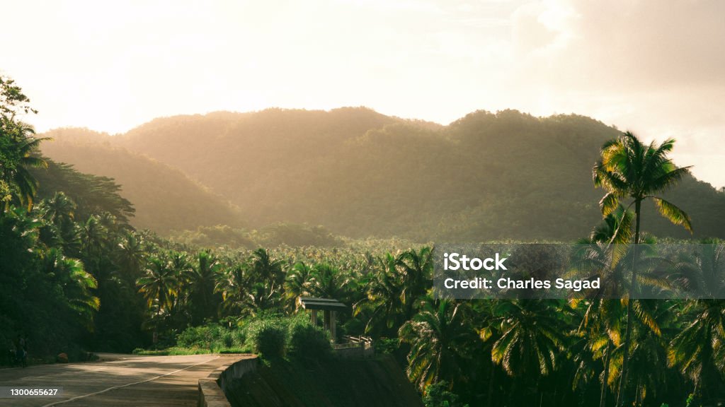 Siargao sunset Coconut trees and mountains on Siargao island Philippines. Philippines Stock Photo