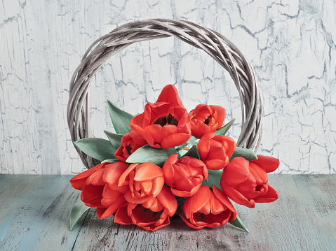 Rattan wreath decorated with orange, red natural tulip flowers. Easter, Springtime home decor. Natural flower arrangement on off white, ivory wooden background. Natural decor, zero waste, no plastic.