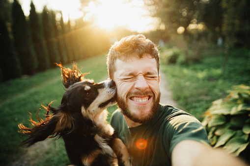 Selfie of a young handsome man with his dog on the green yard in the countryside at the sunset on summer