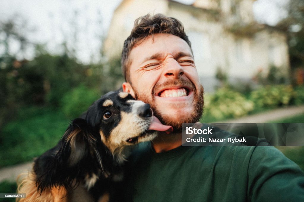 Young man is playing with a dog and do selfie Selfie of a young handsome man with his dog on the green yard in the countryside at the sunset on summer Dog Stock Photo