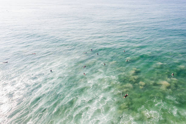 istock Drone view of surfers 1300659982