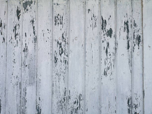 istock Wooden texture background surface with cracked white paint 1300660209