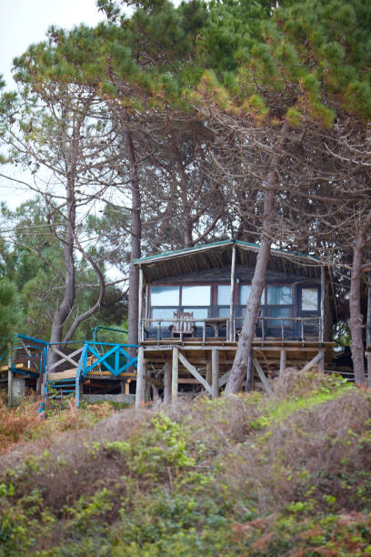 istock Wood house with a beautiful forest. 1300660948