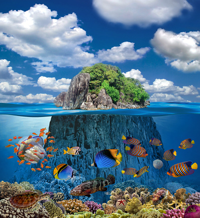 Tropical Island And Coral Reef. Split View With Waterline
