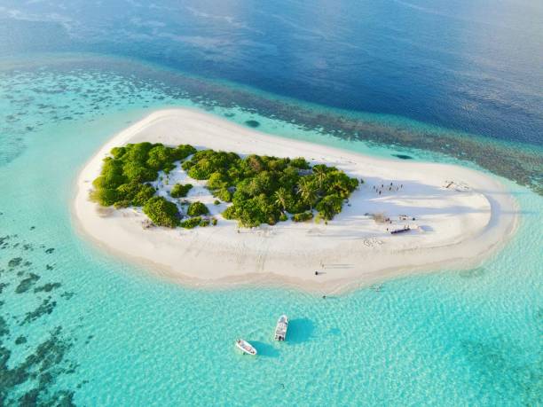 maldivas - mergulhar para o chão - fotografias e filmes do acervo