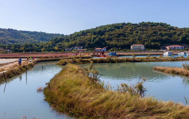 istock View of the Strunjan nature park 1300664106