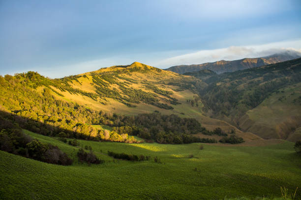 istock Savana of jemplang 1300666329