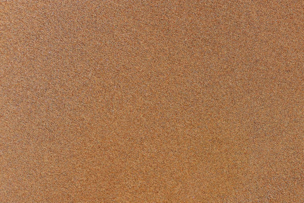 istock Blank fine sand , nature background, outdoor day light, summer beach. background 1300669173