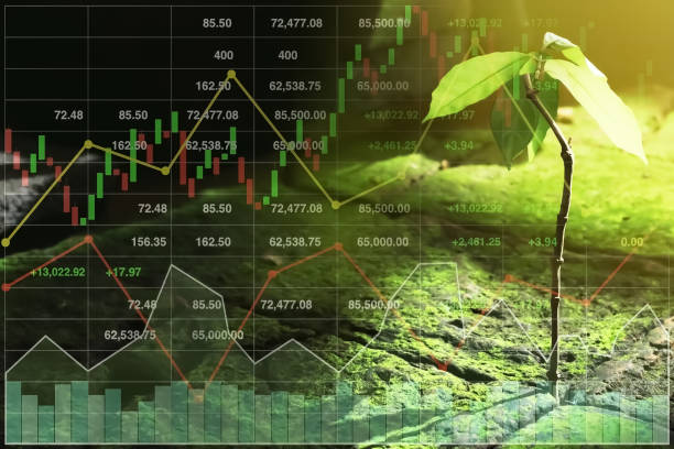 Stock financial index growth in stock market investment with graph and chart on new growth startup life of small tree image background with bright light. stock photo