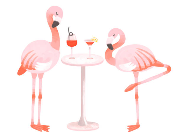 Stylish flamingo and tropical bar image Stylish flamingo and tropical bar image standing on one leg not exercising stock illustrations