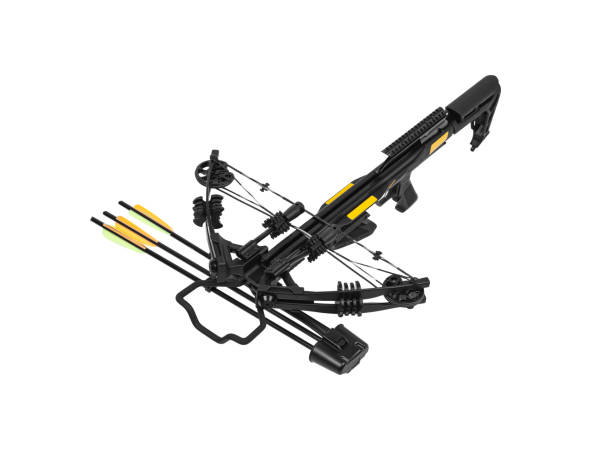istock Modern crossbow isolate on a white background. Quiet weapon for hunting and sports. 1300676531