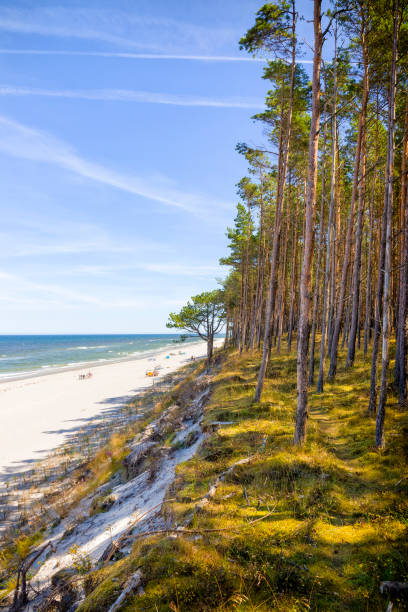 istock Vacations in Poland - Baltic seashore in Pogorzelica 1300676565
