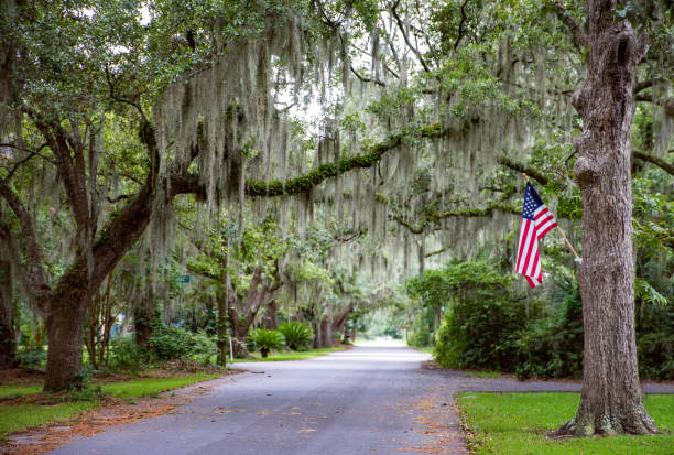 американская улица - spanish moss стоковые фото и изображения