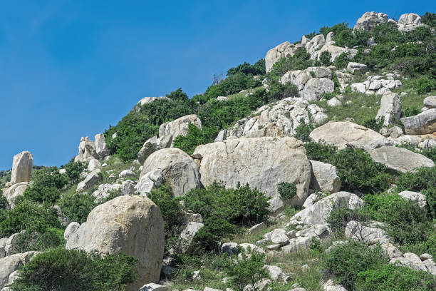 istock Mountain slope with large stones 1300682314
