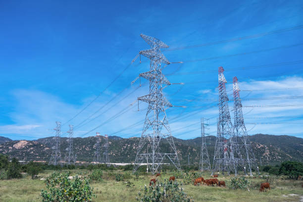 istock Electricity supply line among country landscape 1300682337