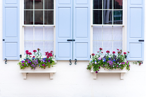 Blue shutters adorn a pair of blooming window boxes in Charleston, South Carolina