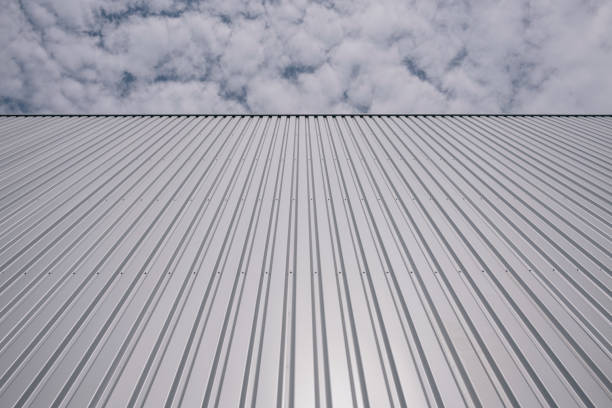 istock Corrugated iron sheet, aluminum Facade of a warehouse as background texture 1300683937