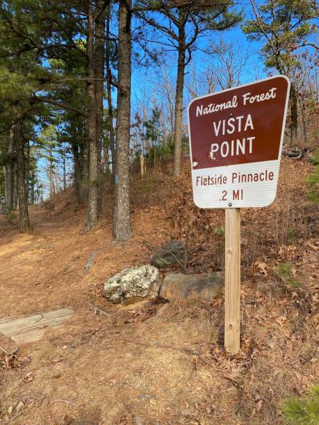 istock Flatside Pinnacle National Forest Vista Point trail sign 1300684938
