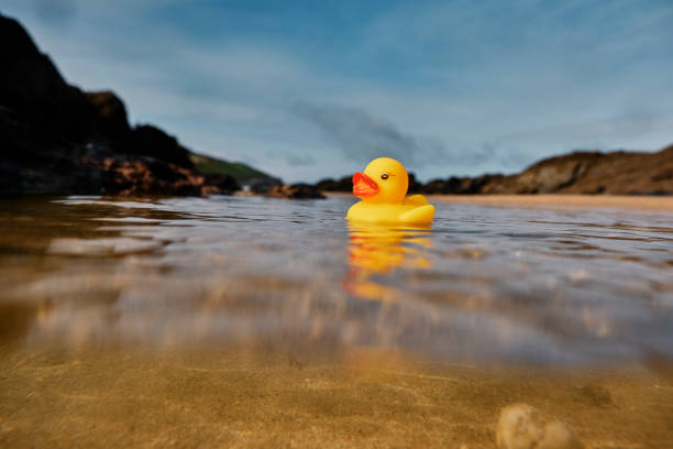 istock Beach holiday concept, Rubber duck floating in a rock pool at a beach on a sunny day. 1300685985
