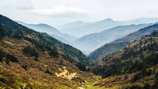 istock Clouds and mist around the mountains in Shennongjia, China 1300686301