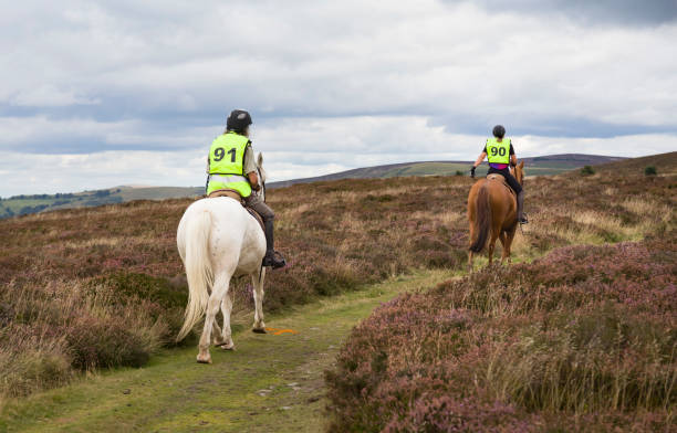 pony trekking en long mynd, shropshire hills, reino unido - bridle path fotos fotografías e imágenes de stock