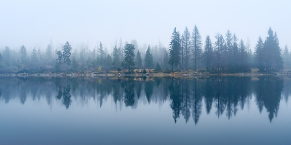 Mystical atmosphere at a lake in the Harz Mountains.