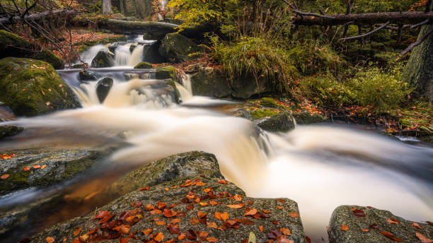 istock A small stream in the autumnal Harz. 1300692569