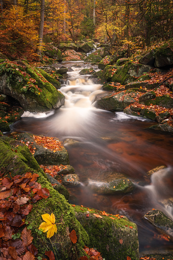 A small stream in the autumnal Harz.