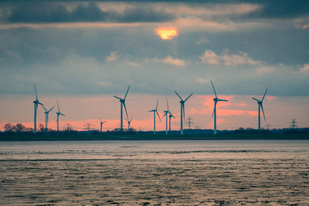 istock Sunset behind wind turbines on the North Sea coast. 1300692776