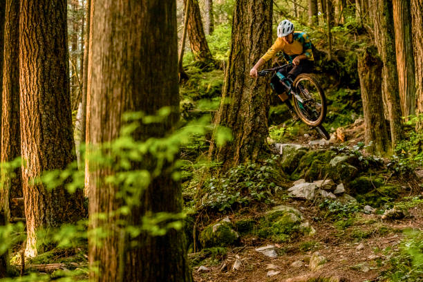 istock Mountain biker rides along forested path in the morning 1300692877