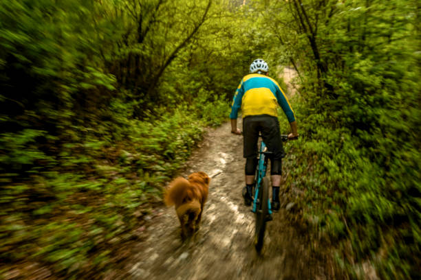 istock Mountain biker rides along forested path with dog 1300693495