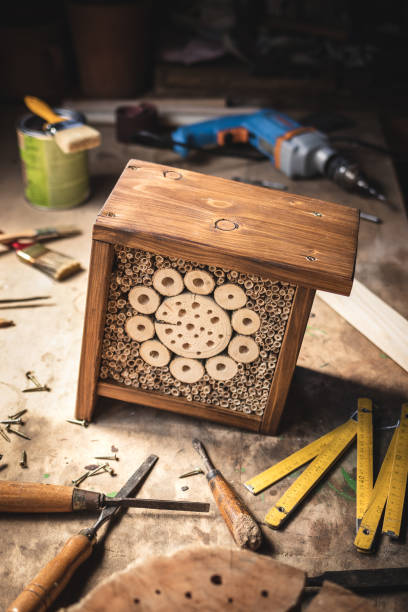 istock Making wooden insect hotel 1300693619