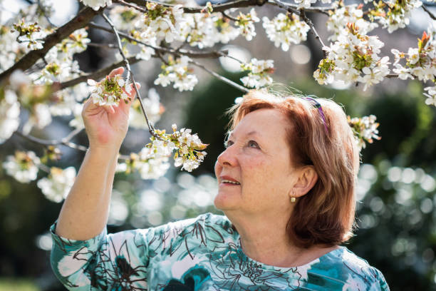 istock Senior woman enjoying spring under blooming cherry tree 1300693664