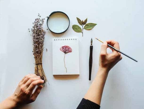 istock Top view shot Concept of  botanist painter 1300693757