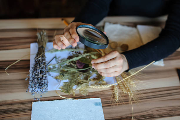 istock Top view of botanist workplace 1300693818